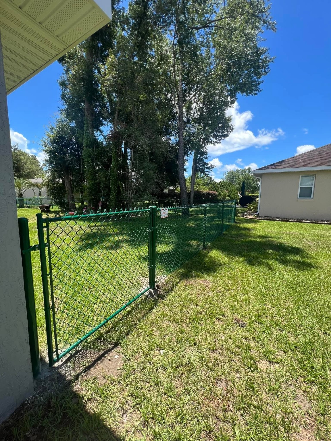 Green chain link fence
